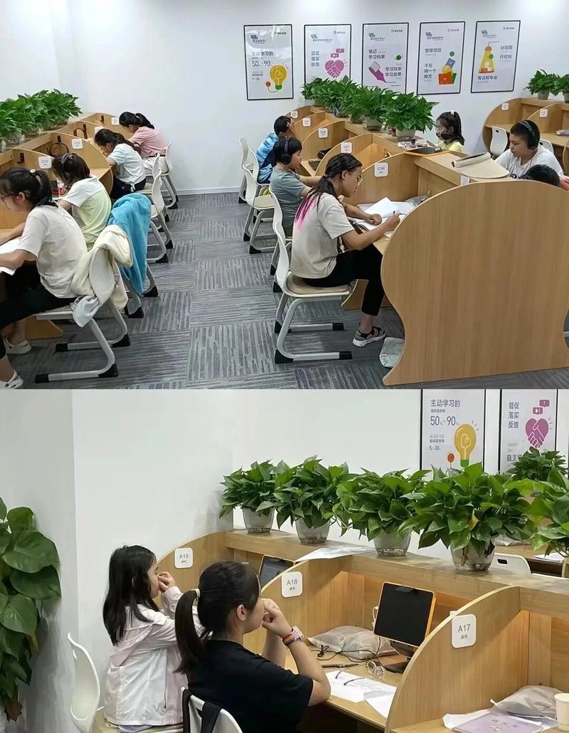 2025年天天彩資料大全和用AI制700張不雅照與
